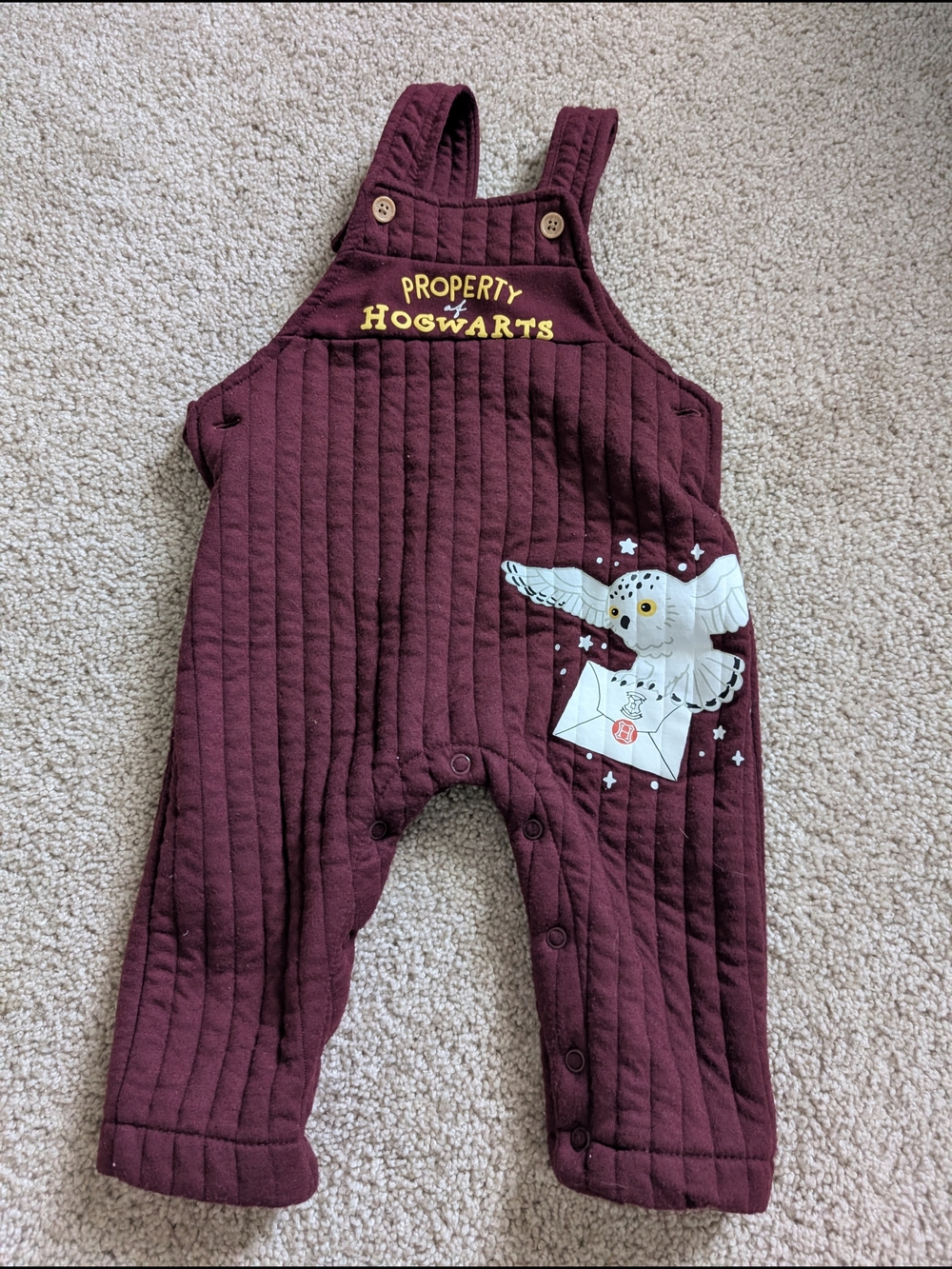 Warner Bros. Maroon Quilted Baby Overalls with Owl Print